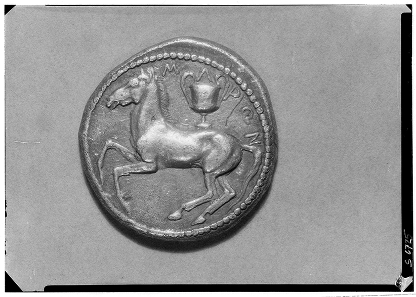 ancient greek coin with horse